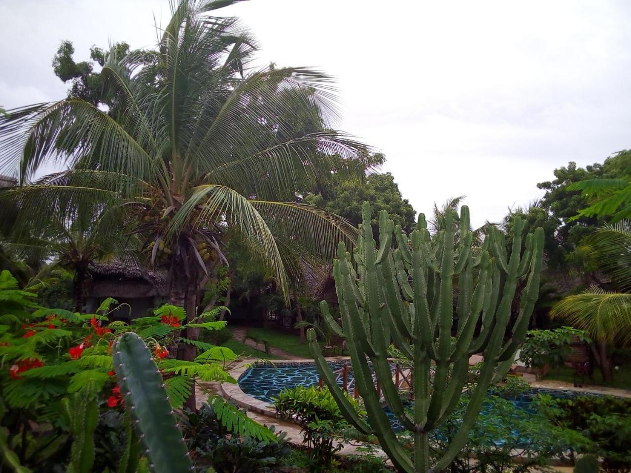 Marine Holiday House Malindi Exteriér fotografie